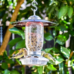 May include: Three yellow finches perched on a metal bird feeder with a glass jar filled with birdseed. The feeder has a metal roof and a silver chain hanging from it.