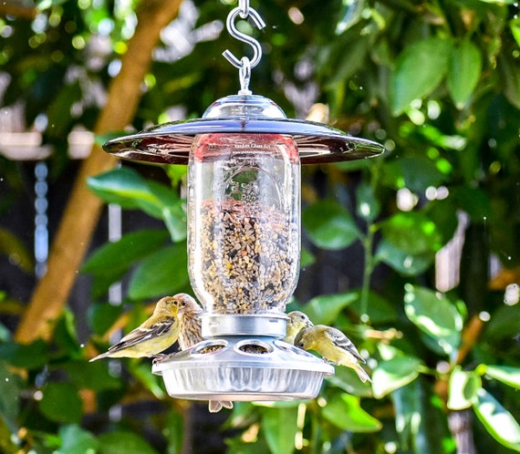Mangeoire à oiseaux d'extérieur avec un pot Mason en verre pour