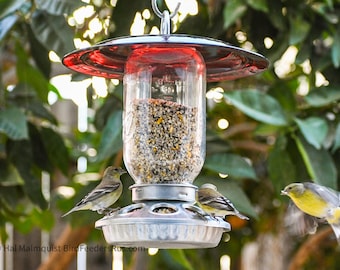 Mason Jar Bird Feeder: 32oz Glass, Galvanized Steel, Handmade USA