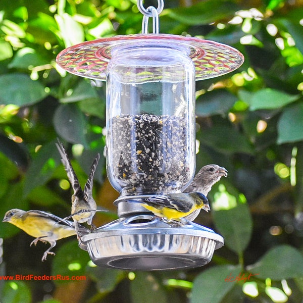 Hanging Birdfeeder, Feeder for Finches that is Handmade in the USA, Farmhouse
