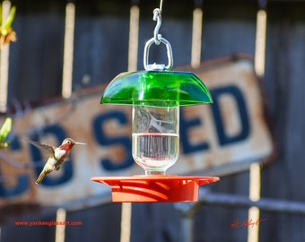Hummingbird Feeder, No Drip, 8 oz Clear Round