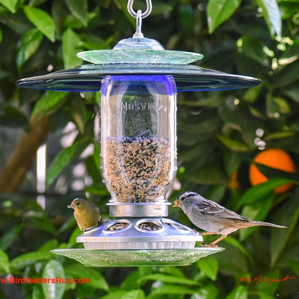 Bird Feeder and Glass Jar Etsy