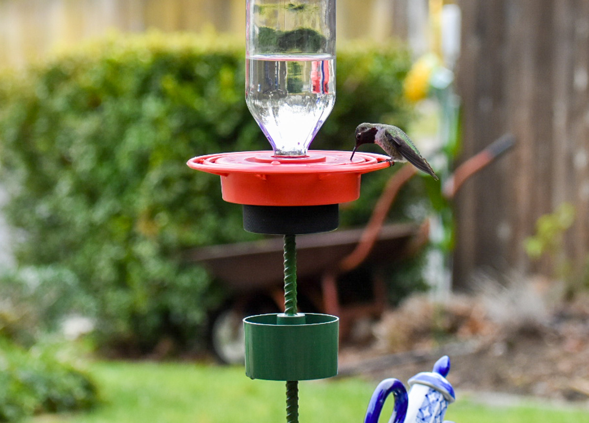 Hummingbird Feeder with No DripBee Free Clear 16 oz Vinegar Etsy