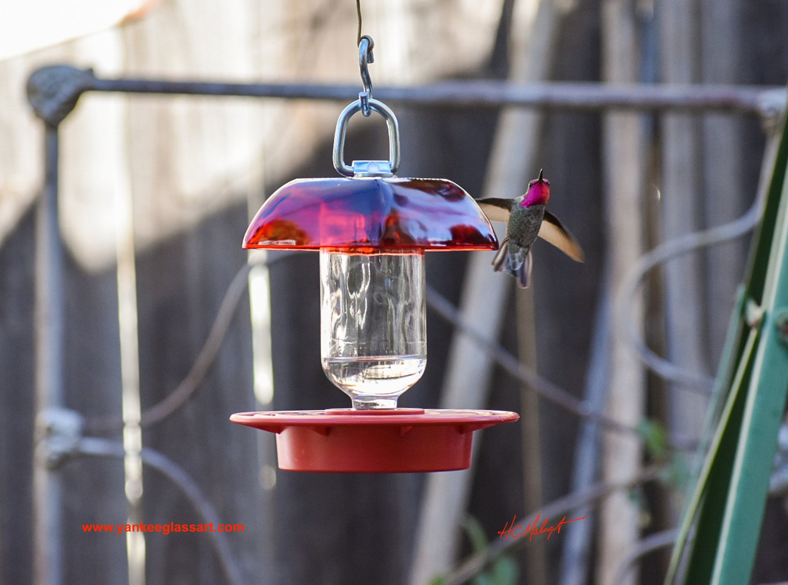 Hummingbird Feeder that is a No Drip Bee Proof Bird Feeder Etsy