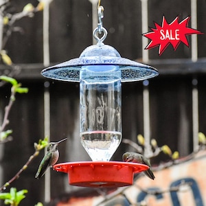 How to Make Glass Plate Bird Feeder: Easy DIY Guide
