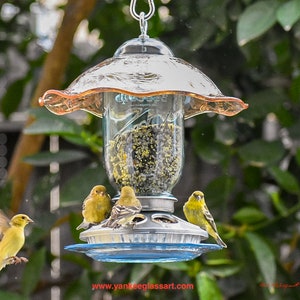 Hanging Bird Feeder, Hanging Feeder for Song Birds, Mason Jar Glass with Jeannette Iridescent Amber Iris and Herringbone Bowl