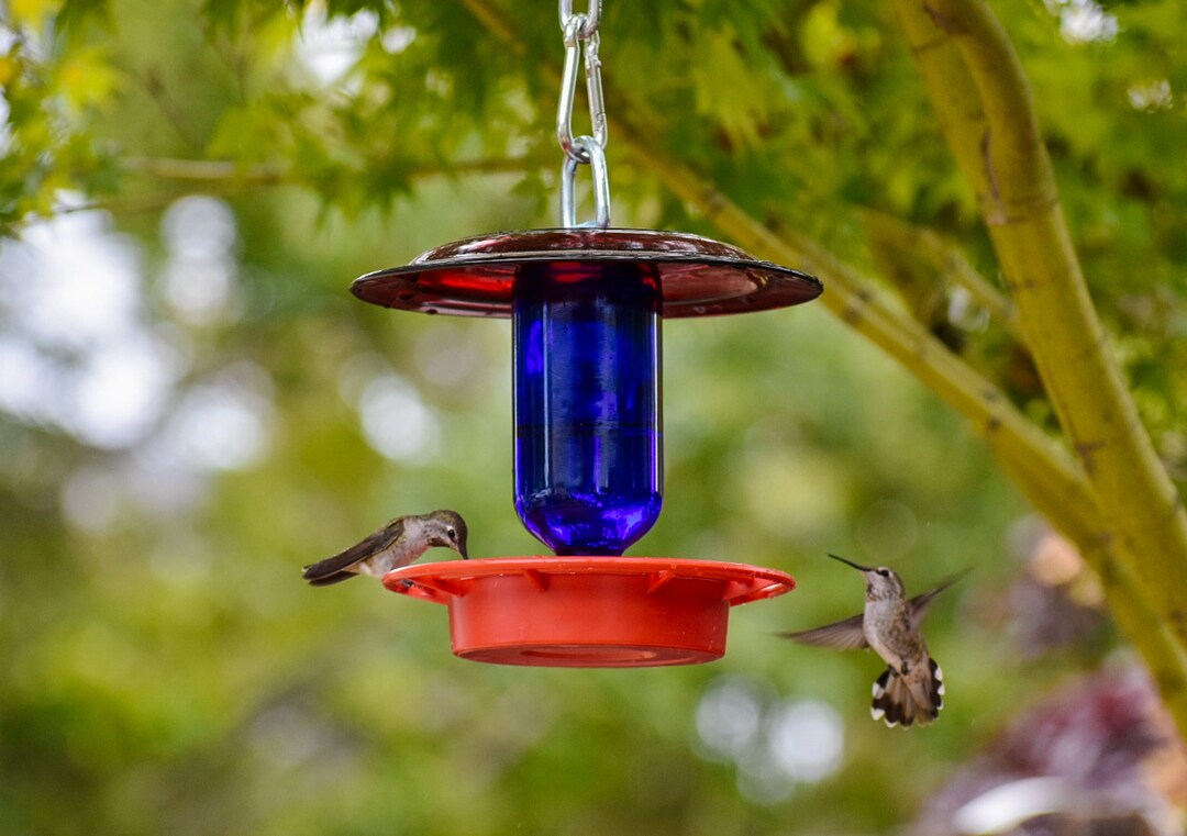 Hummingbird Feeder Bee Proof With Choice of 8 Oz Clear or Cobalt Bottle