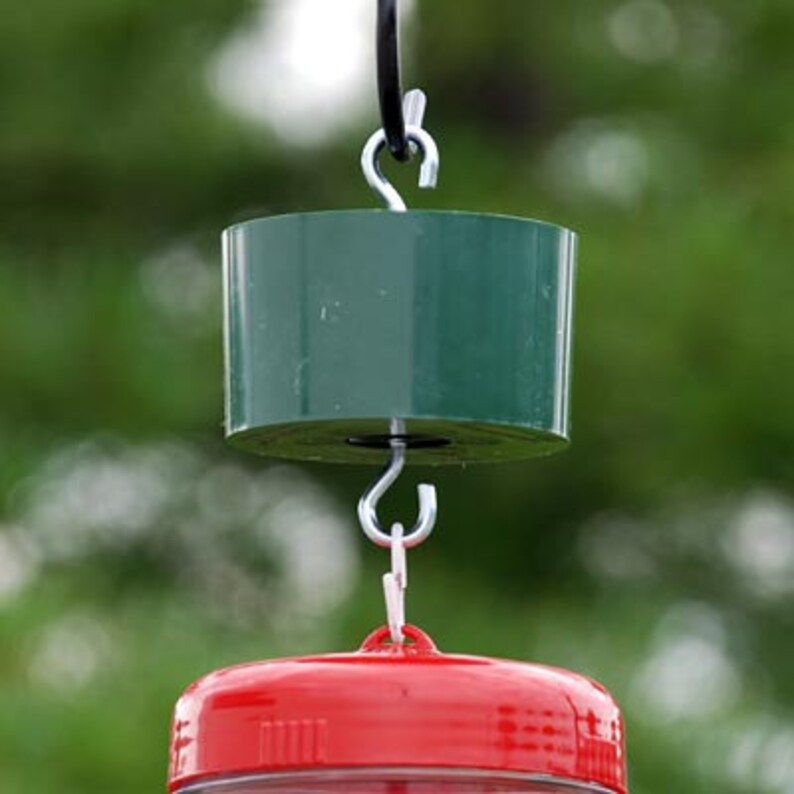 Hummingbird Feeder Ant Trap Etsy