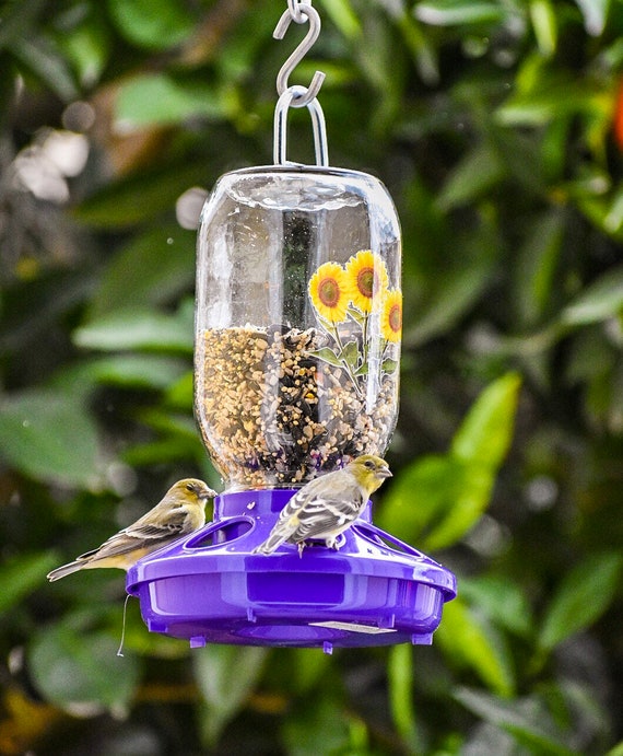 Mangeoire d'extérieur en plastique pour oiseaux Station d