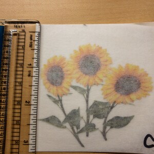 May include: Three yellow sunflowers with brown centers on a white background. The sunflowers are arranged in a cluster with their stems and leaves visible. The letter "C" is written in black ink in the lower right corner of the image.