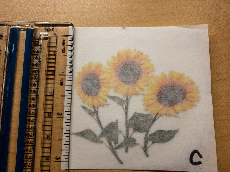 May include: Three yellow sunflowers with brown centers on a white background. The sunflowers are arranged in a cluster with their stems and leaves visible. The letter "C" is written in black ink in the lower right corner of the image.