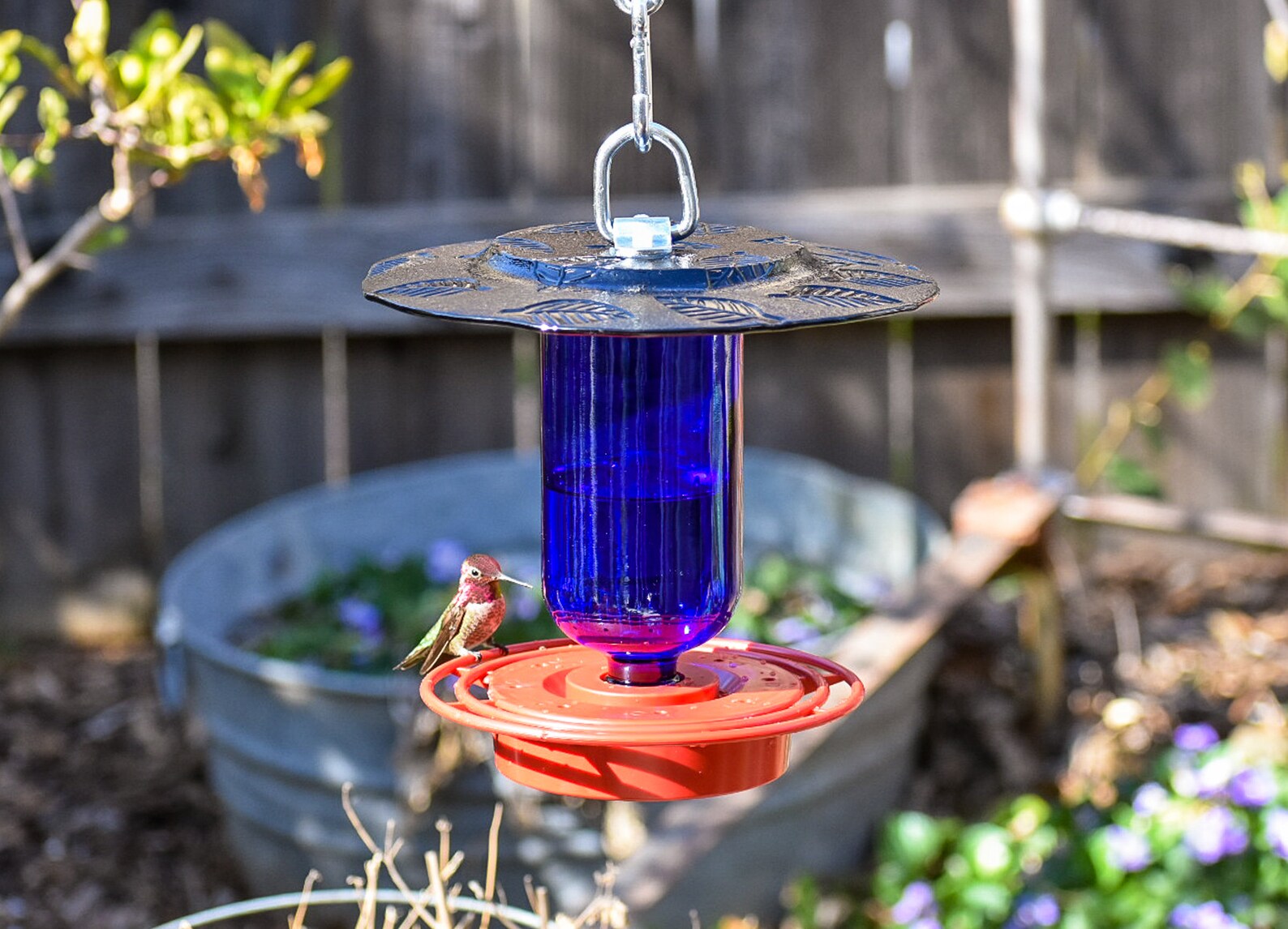 Hummingbird Feeder Bird Feeder No Drip Bee Proof 16 Oz Etsy