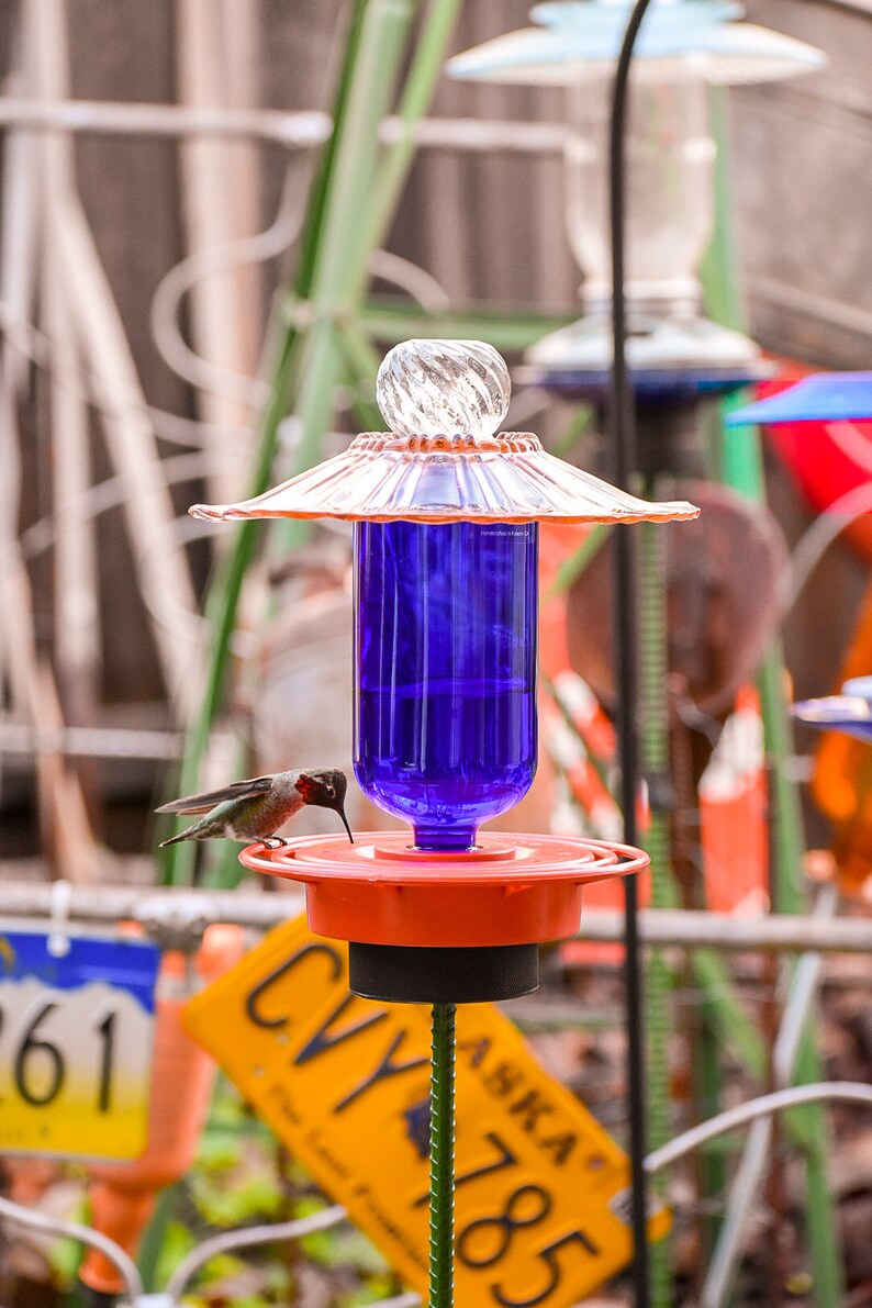 Best1 Hummingbird Feeder Replacement Bottom Etsy