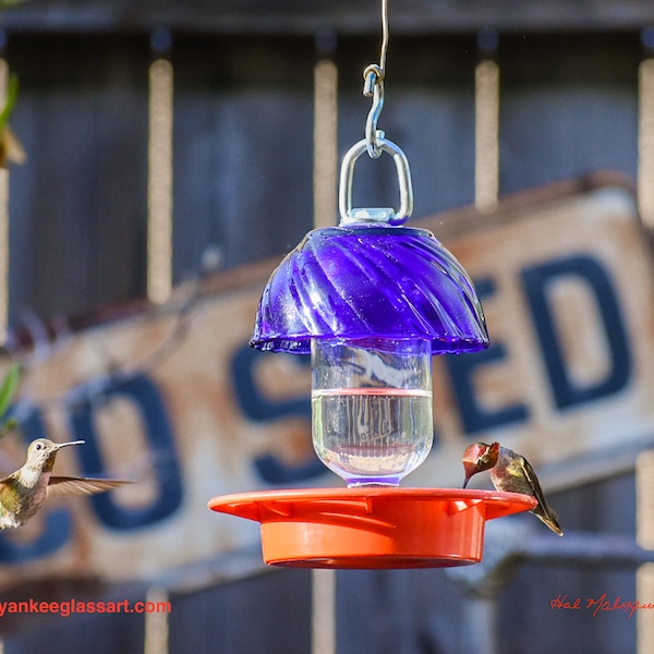 Bee Proof Hummingbird Feeder Etsy