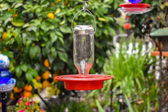 Hummingbird Feeder Handmade Great Gift For Her Or Mothers Day Etsy