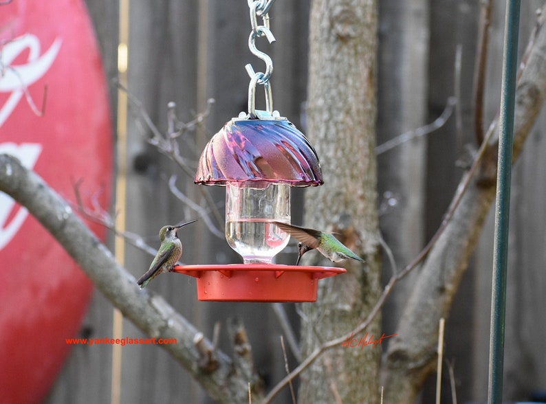 Hummingbird Feeder That is a No Drip Bee Proof Bird Feeder Etsy