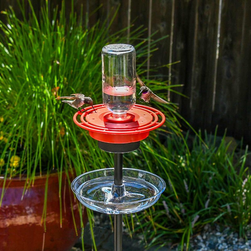 Bird Feeder Kits - Etsy