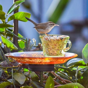 Bird Feeder, Tea cup, Bird Bath, Gift for Her or Mothers Day Gift, Easy to Install