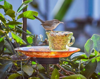 Bird Feeder, Tea cup, Bird Bath, Gift for Her or Mothers Day Gift, Easy to Install