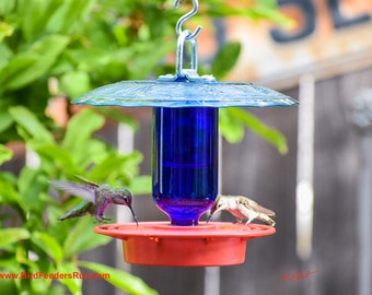 Bee Proof Hummingbird Feeder - Etsy