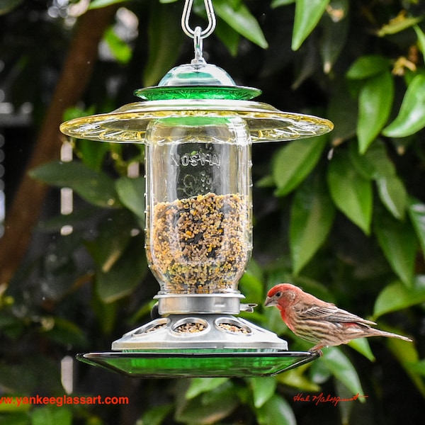 Outdoor Hanging BirdFeeder for Wild Birds Amber