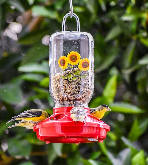 Songbird All Weather Feeder  Weather-Proof Bird Feeders - The Birdhouse  Chick