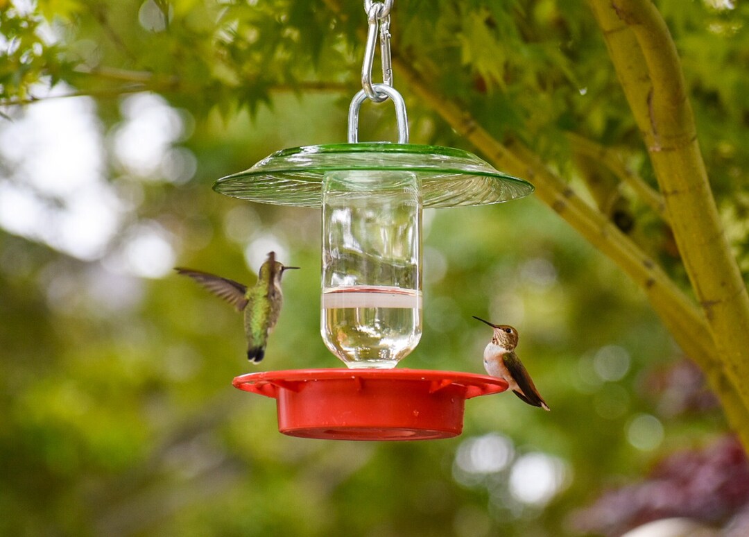 Hummingbird Feeder Bee Proof With 8 Oz Clear Bottle With Green Glass