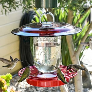 May include: A hummingbird feeder with a red base and a glass jar. Several hummingbirds are visible, some perched and others in flight. The feeder is suspended outdoors, surrounded by greenery.