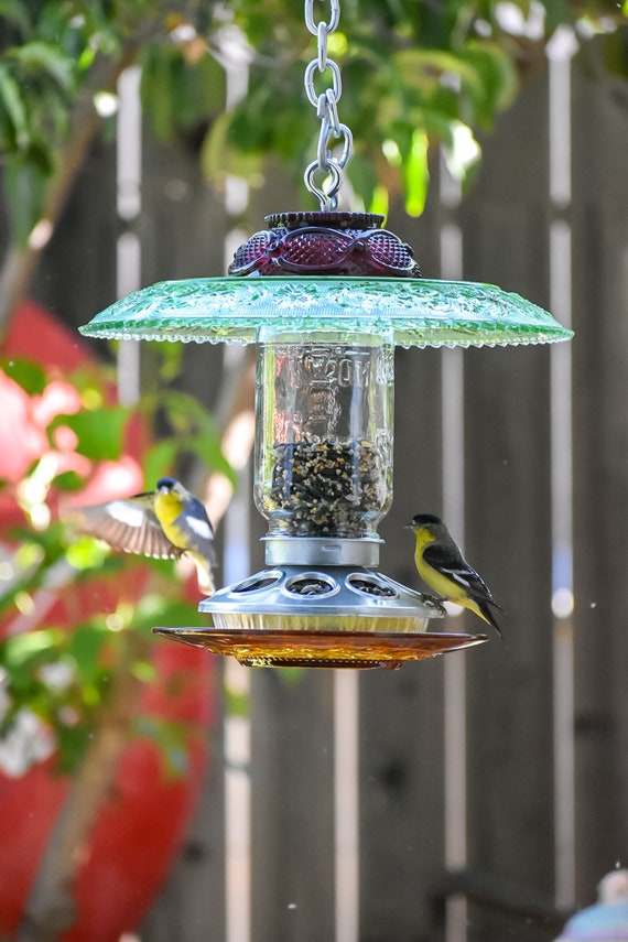 Bird Feeder Glass Mason Jar Handmade Item For Outdoors Etsy