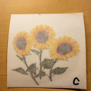 May include: Three yellow sunflowers with brown centers and green leaves on a white background. The letter "C" is written in black ink in the bottom right corner.