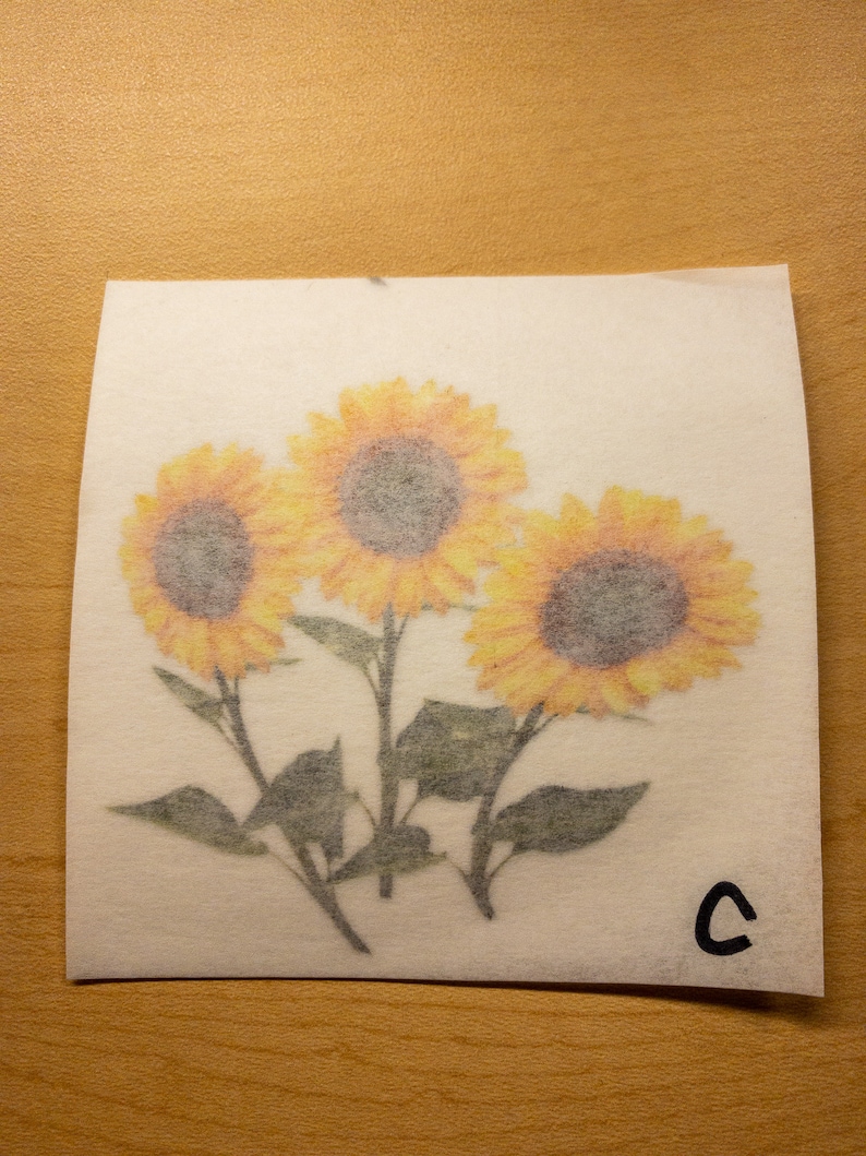 May include: Three yellow sunflowers with brown centers and green leaves on a white background. The letter "C" is written in black ink in the bottom right corner.