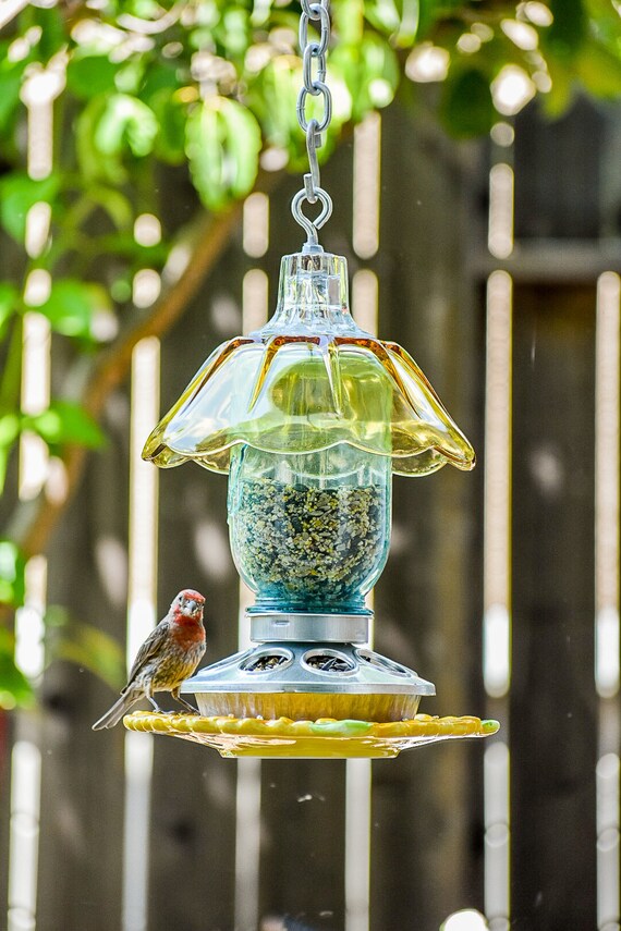 Handmade Mason Jar Hanging Bird Feeder with first bag 1 Etsy