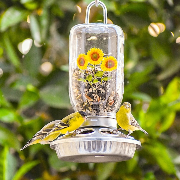 Farmhouse Mason Jar Hanging Bird Feeder – Handmade in USA, Easy Fill, Portable