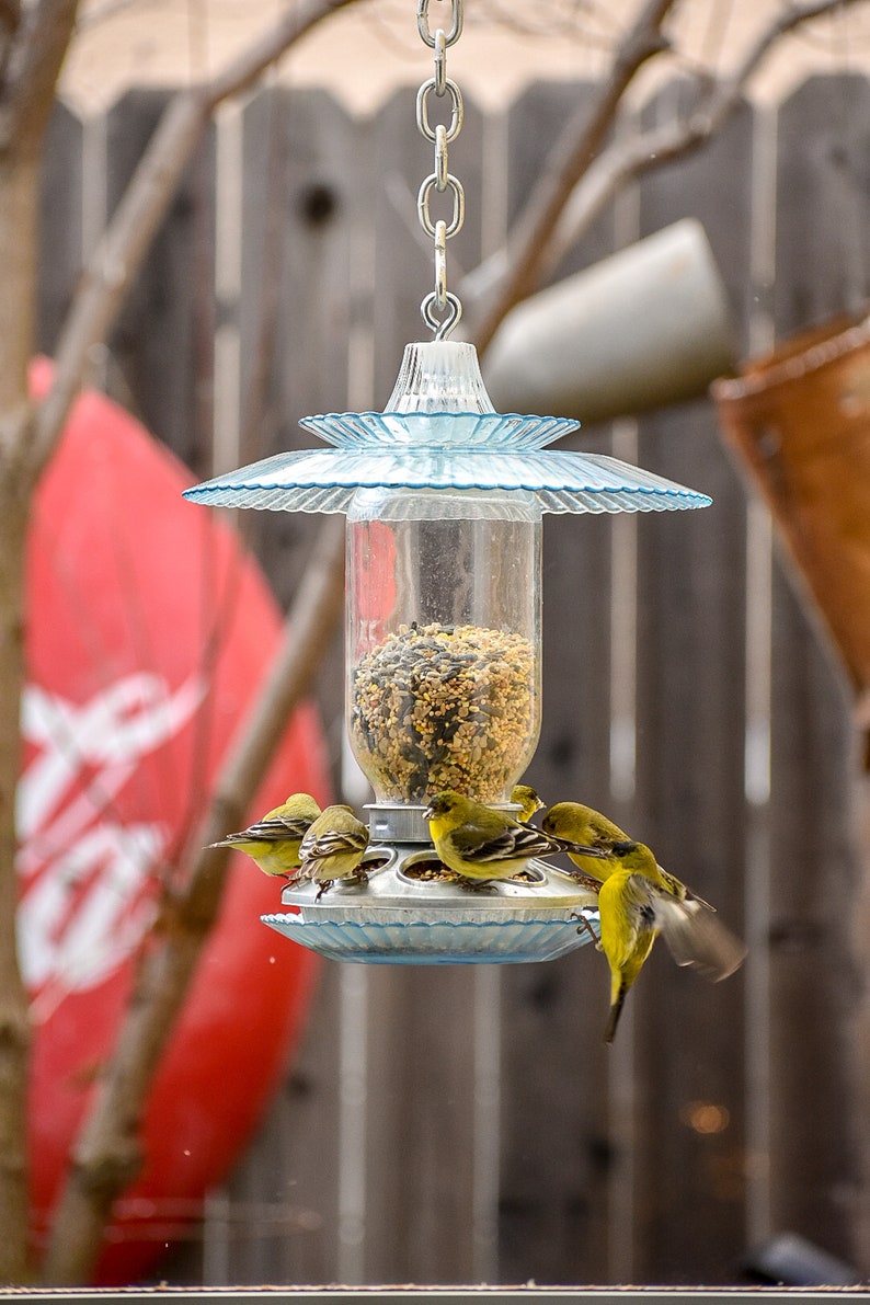 Outdoor Bird Feeder Glass Mason Jar Handmade Light Blue Etsy