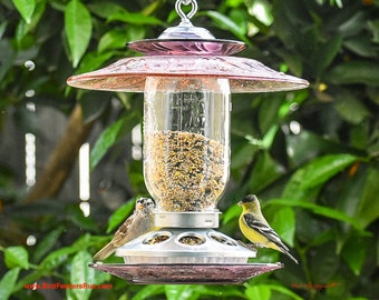 May include: A purple glass bird feeder with a clear glass jar filled with birdseed. Two birds are perched on the feeder, one yellow and one white. The feeder is hanging from a hook and has a metal base with multiple feeding ports. The text "www.BirdFeedersRus.com" is visible at the bottom of the image.