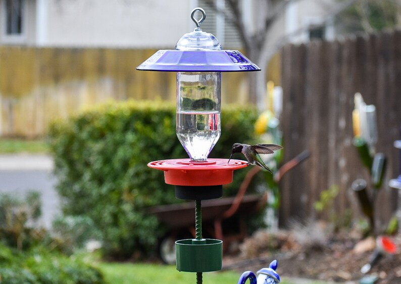 Hummingbird Feeder Pole Adapter Kit With Ant Trap for Etsy