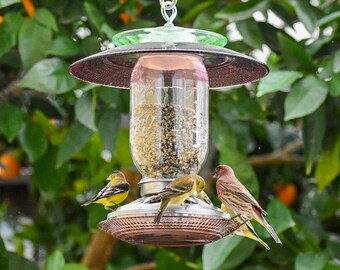 Mason Jar Bird Feeder: Glass & Metal Chick Feeder