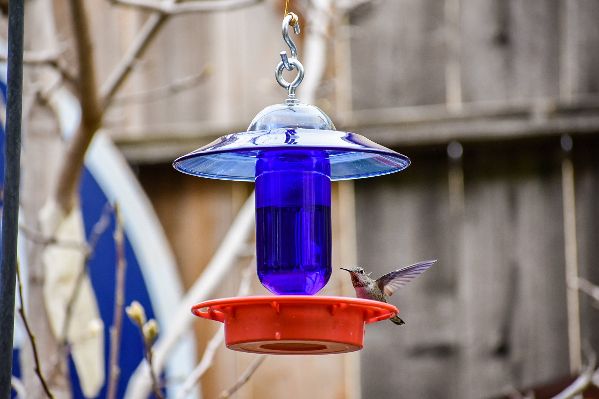 Hummingbird Feeder No Drip Bee Free Cobalt Blue Handmade Etsy