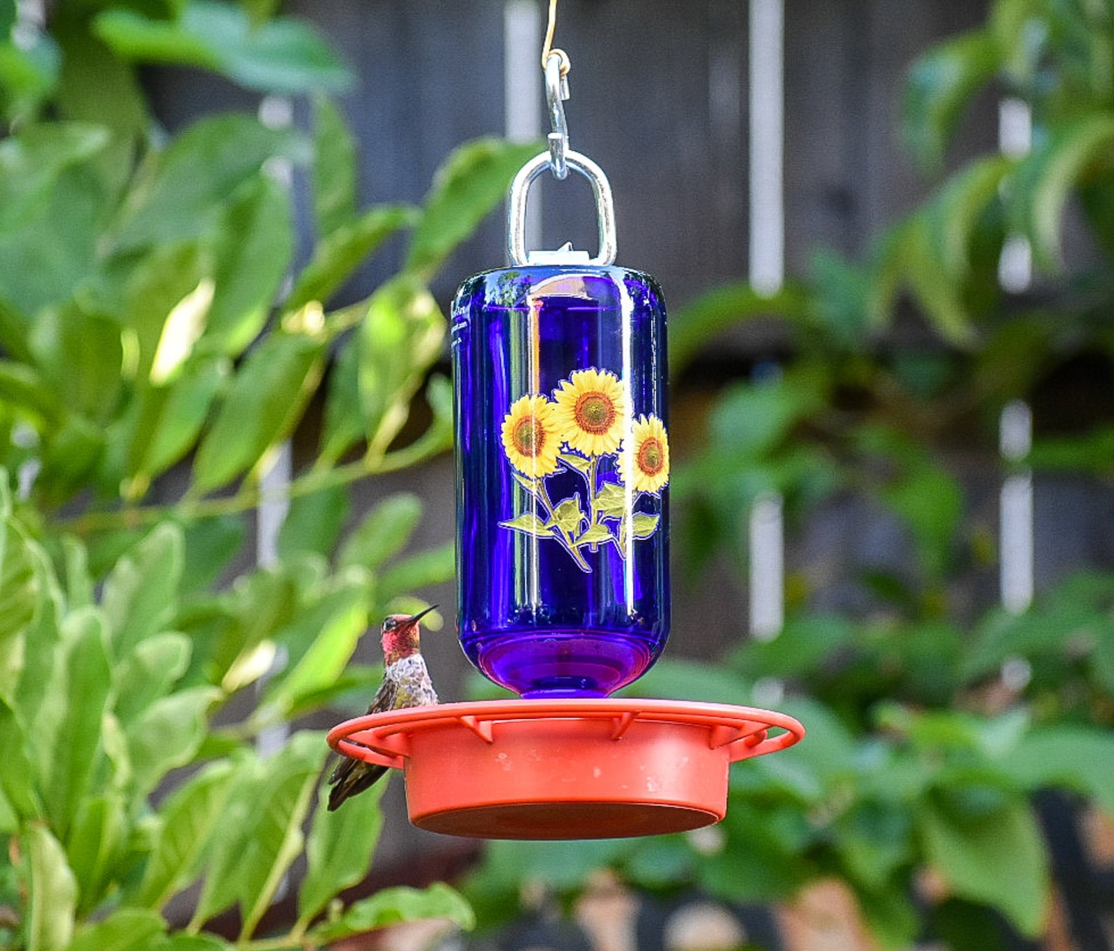 Hummingbird Feeder No Drip Bee Free Clear 16 0z Cobalt Etsy