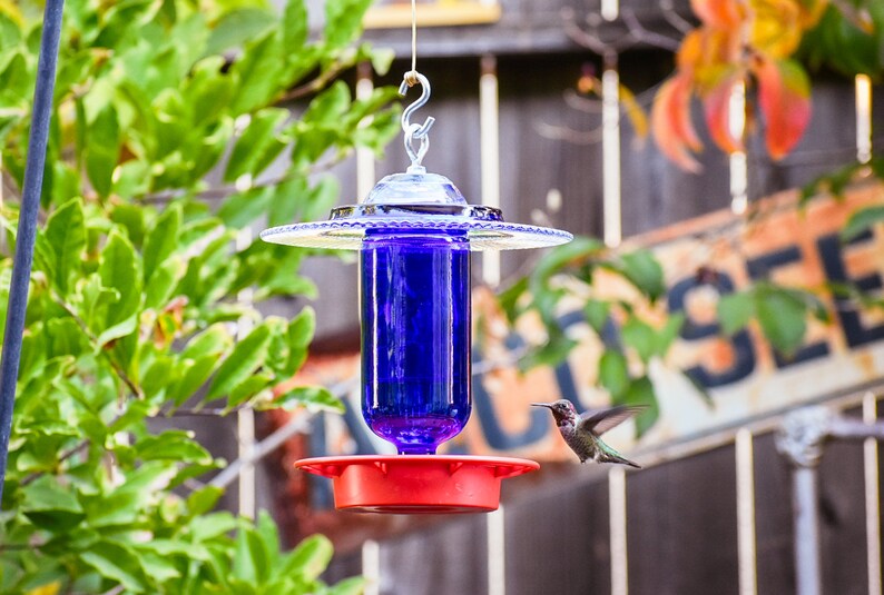 Hummingbird Feeder Dripless No Waste Hummingbird Feeder Etsy