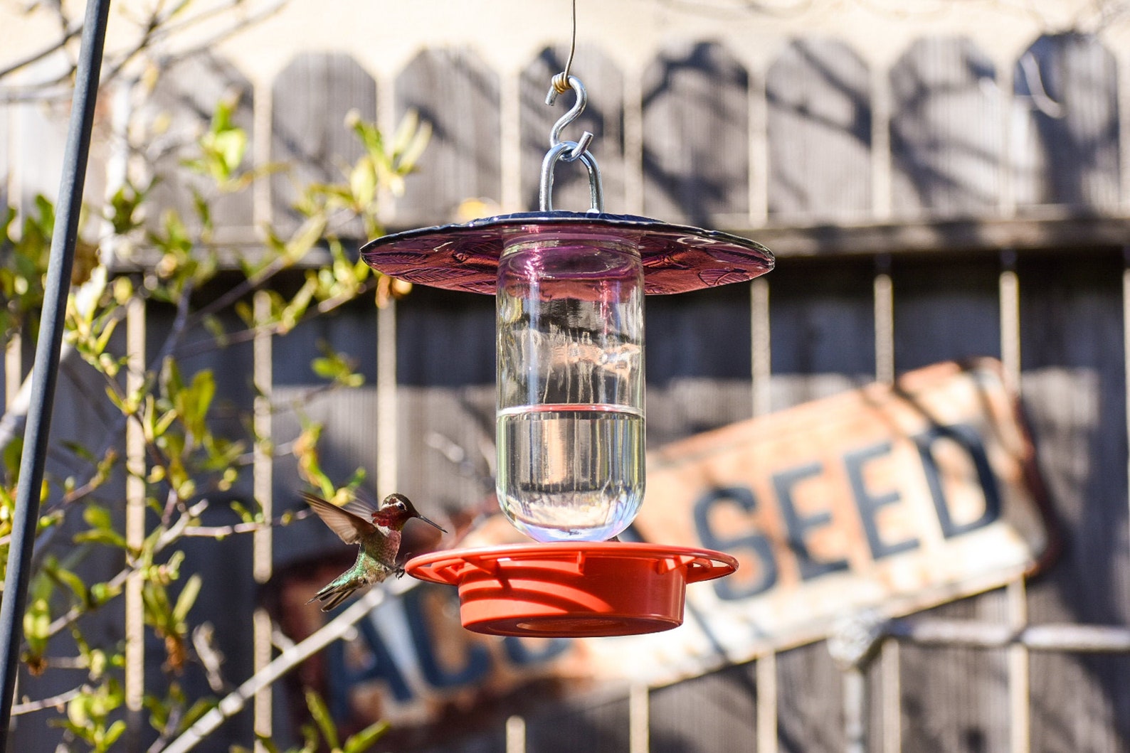 Hummingbird Feeder Bird Feeder No Drip Bee Proof 16 Oz Etsy
