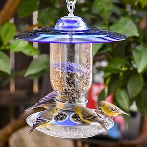 Hanging BirdFeeder, for Wild Birds, Sapphire Glass