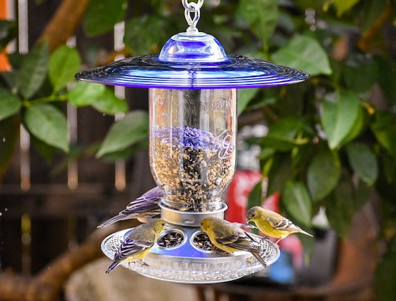 Hanging BirdFeeder, for Wild Birds, Sapphire Glass