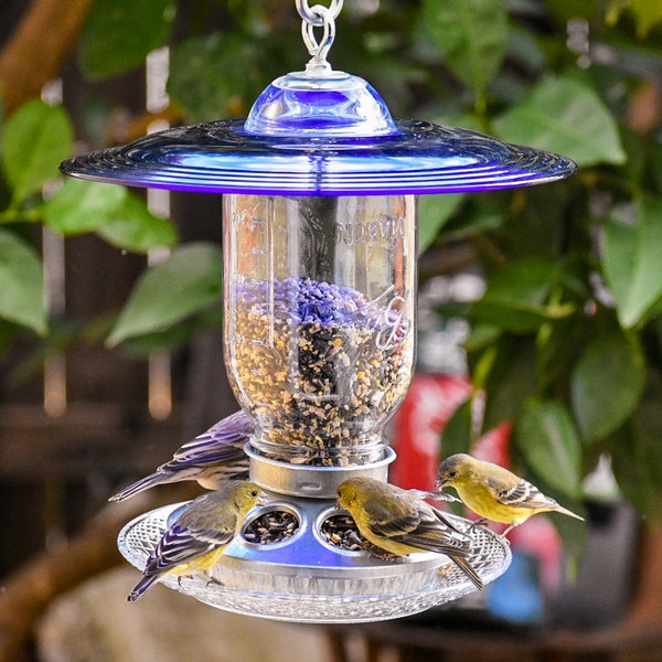 Hanging BirdFeeder, for Wild Birds, Sapphire Glass