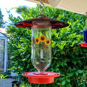 May include: A red and clear glass hummingbird feeder with a red metal top and a chain for hanging. The feeder has a clear glass bottle with a sunflower design and a red plastic base.