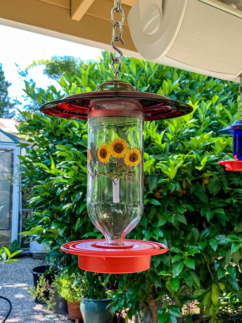 May include: A red and clear glass hummingbird feeder with a red metal top and a chain for hanging. The feeder has a clear glass bottle with a sunflower design and a red plastic base.