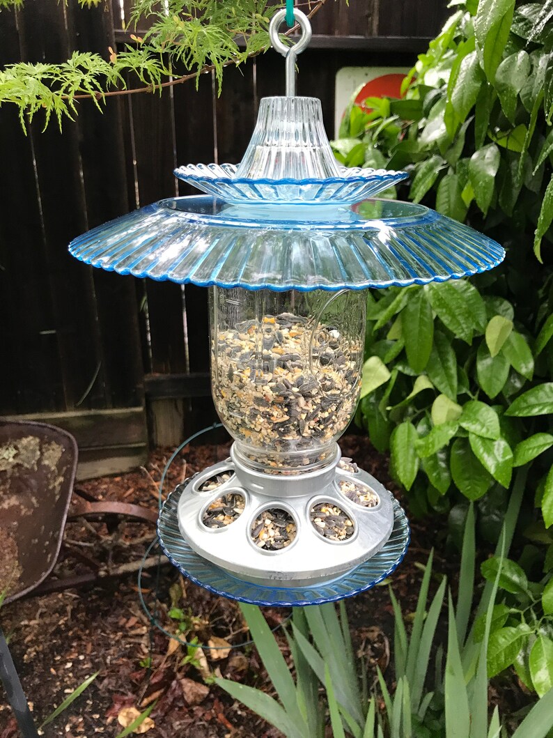 Outdoor Bird Feeder Glass Mason Jar Handmade Light Blue Etsy