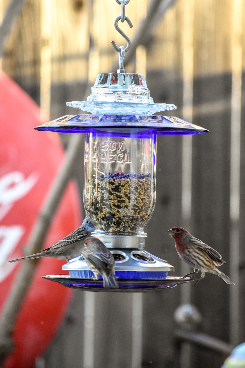 Bird Feeder Handmade Mason Jar Great Gift For Her Or Mothers Etsy