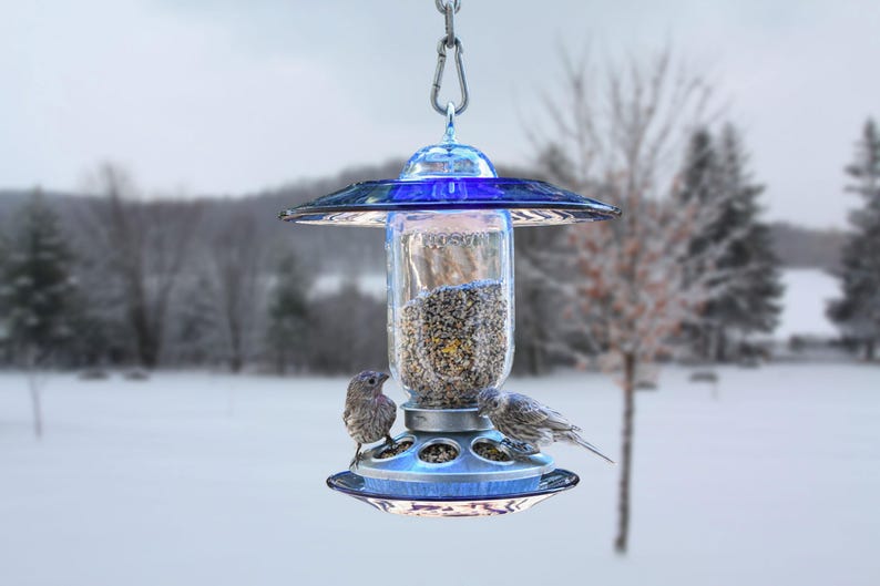 Royal blue glass hanging bird feeder with songbirds feeding in a snowy winter landscape