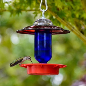 A red and blue hummingbird feeder with a hummingbird drinking nectar from the feeder.